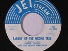 JAMES YOUNG & HOUSE WRECKERS: Barkin' Up The Wrong Tree / Funky Booty 45 rare F