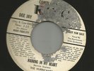 DOOWOP bw JUMP R&B - HURRICANES-  RAINING IN MY HEART -HEAR -1956 BIO PROMO KING