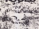 TOOLS - Hard Wark 7” SAN FRANCISCO PUNK KBD