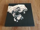Pixies Death To The Pixies Vinyl Box Ltd. 4x10