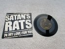SATAN'S RATS 7