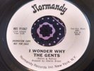 Frantic Fuzz Garage Punk Psych Slammer 45 The Gents I Wonder Why NM LISTEN