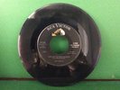 Joey Castle - That Ain't Nothing But Right 45 | RCA 7283 | VG+ Rockabilly