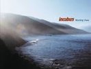 Incubus Morning View 2 LP Vinyl 2013 Reissue 88765404101 *Just Like RSD Version*