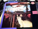 MIDNIGHT OIL - SPECIES DECEASES 12