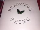 The Stone Roses: Beautiful Thing 12