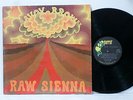 SAVOY BROWN Raw Sienna 1970 1st Press LP BELL SOUND PSYCH BLUES PARROT 71036 NM