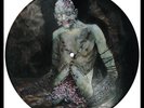 CANNIBAL CORPSE Vile LP PICTURE DISC Unplayed NEW Vinyl