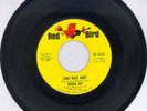 45 Roddie Joy: Come Back Baby  Love Hit Me With A Wallop; 1965 Red Bird; MINT-