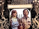 David Ackles - American Gothic.  Original 1972 Promo Only Poster.  EXC.