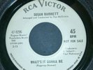 Susan Barrett - What's it gonna be / It's no secret  Demo VG+