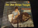 The Tokens The Lion Sleeps Tonight 7
