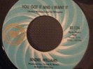 Andre Williams - You Got it And I Want It (Ric-Tic)
