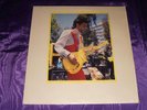 PRINCE FUZZTONE REALITY 1LP VINYL RARE  C PIX AND MY OTHER STUFF
