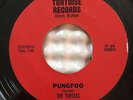TURTLES PUNGFOO/ PUNGFOO WATUSI RARE 1964 GARAGE SURF INSTRO 45 on TORTOSIE ZAPP