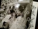 Björk - Vespertine - Vinyl - orig 2001 - TOPP