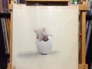 Triumvirat Illusions On A Double Dimple ORIGINAL Vinyl Record LP (1974)
