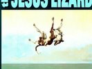 The Jesus Lizard - Down [Remastered] [Bonus Tracks] [Deluxe Edition] [New Vinyl