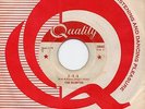 THE HAUNTED '1-2-5' Montreal Canada Quality Psych/Killer Garage Punk 45 HEAR