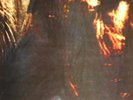 PARADISE LOST - GOTHIC - UK 91