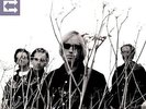 2 Vinyl LP* Tom Petty And The Heartbreakers – Echo (1999)