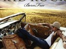 Born Free (2LP W/Bonus CD) Kid Rock  Format: Vinyl VINYL FACTORY SEALED