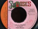 Pablo Moses - Life Of A Big Shot JA Moses 7