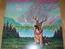 Little Feat 2 Lps NEAR MINT Hoy-Hoy  NOT SEALED 1981 A+ FREE US SHIPPING