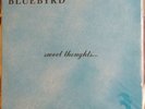 BLUEBYRD Sweet Thoughts Private Soft Psych Rock NM vinyl