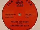 LEVY, Barrington - Praise His Name - Vinyl (12