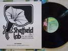 Lincoln Mayorga & Amanda McBroom LP Growing Up In Hollywood Town 1980 Sheffield