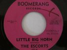 THE ESCORTS 7