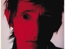 Rowland S. Howard - Pop Crimes [New Vinyl LP]