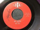 Mr. Love 1966 GARAGE BLUES 45 Hot Pepper / Ease The Pain on IGL Label Iowa HEAR