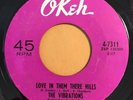 * VIBRATIONS Love In Them There Hills NORTHERN SOUL Okeh 45 HEAR