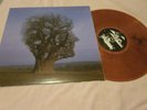 Pink Floyd Brave New World New York 1977 Bronze Marbled Vinyl RP LP New
