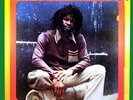 ** ERROL FLABBA HOLT  ROOTS RADICS DUB  LP  RARE AND KILLER EARLY EIGHTIES DUB