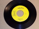 SWAMP RATS In the Midnight Hour/It's Not Easy 1967 CO & CE 245 garage rock 45