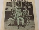 SHAKERS - SWEET LITTLE SIXTEEN -  1967 SWEDISH GARAGE FREAKBEAT 45