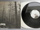 The Cure - A Forest UK 1980 Fiction Records 12