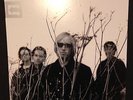 Tom Petty Echo NEW 2016 Pressing