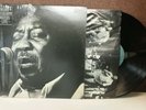 Muddy Waters 