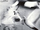 Donald Byrd - Free Form - NEW  LP