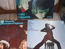 LP- CUBY + BLIZZARDS DESOLATION,too blind to see,Appleknockers Flophouse