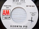 BLODWYN PIG prog promo 45 DEAR JILL b/w SUMMER DAY mint minus vinyl A&M    F1758