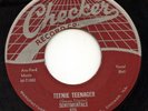 Rare Doo Wop 45 - The Sentimentals - Teenie Teenager - Checker # 875