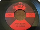 CHARMELS   LOVING MATERIAL  RARE US VOLT V 153   Ex++
