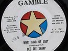 45 RPM record Dee Dee Sharp Gamble 219 what kind of lady DJ copy 1966 promo