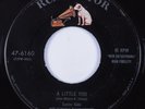 Popcorn Soul 45 SUNNY GALE A Little You RCA HEAR