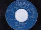 Northern Soul 45 DENISE LA SALLE A Love Reputation TARPON HEAR